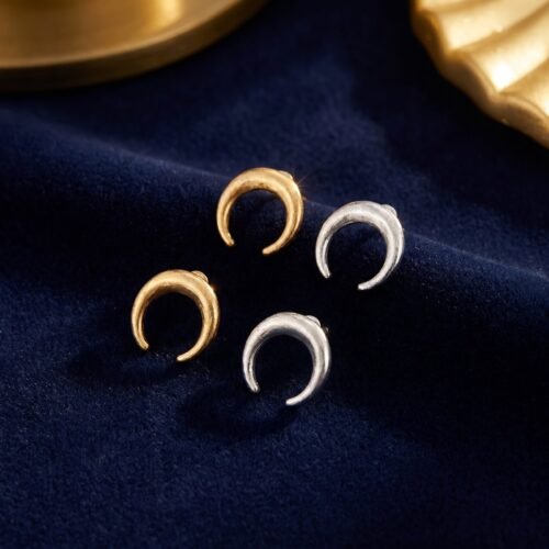 bijoux-3091-da1-1.jpg Puces oreilles lune minimaliste brillante acier